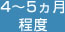 4～5ヵ月程度